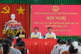 Cử tri phản ánh còn nhiều khó khăn trong chuyển đổi, cấp Giấy chứng nhận quyền sử dụng đất