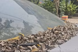 Công an tìm chủ nhân xe ô tô đậu hơn 1 năm trước nhà dân