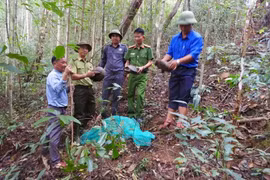 Siết chặt quản lý, bảo vệ động vật hoang dã và nguồn lợi thủy sản