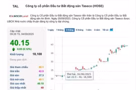'Đọc vị' loạt nhà đầu tư rót vốn vào Taseco Land