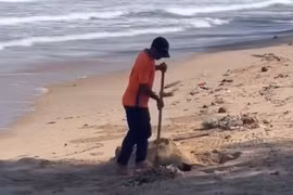Xử phạt nhân viên khu du lịch chôn rác trên bãi biển Mũi Né