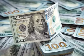 Tỷ giá USD hôm nay 30/8: Giá bán ra ổn định tại 26.502 đồng/USD, DXY giữ quanh 97,98 điểm