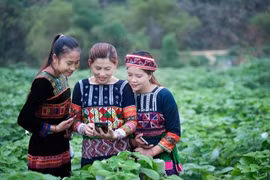 Truyền thông- huy động, lan tỏa và tổ chức sức dân tham gia giảm nghèo