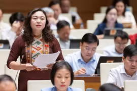 Vấn đề dạy thêm làm 'nóng' nghị trường