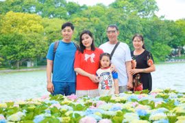 Hoa cẩm tú cầu khoe sắc bên hồ Gươm, hút người dân check-in