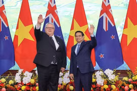 Việt Nam – New Zealand: Phấn đấu kim ngạch thương mại song phương đạt 3 tỉ USD vào năm 2026