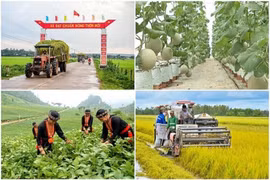 Chính phủ điều chỉnh, phân bổ kế hoạch đầu tư công các chương trình mục tiêu quốc gia