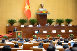 Đề nghị giữ quy định về giám đốc thẩm, tái thẩm đối với quyết định dẫn độ hoặc từ chối dẫn độ