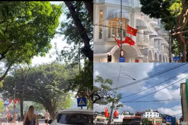 Người dân lo lắng với 'tổ nhện dây' trên phố đi bộ Hồ Gươm