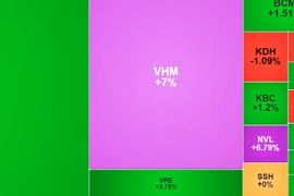 VN-Index bật tăng hơn 25 điểm
