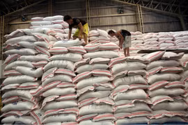 Philippines gia hạn lệnh cấm nhập khẩu gạo thêm 60 ngày