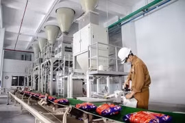 Giá phân bón tăng, hóa chất hạ nhiệt: Ngành sản xuất hưởng lợi hay bước vào giai đoạn rủi ro mới?