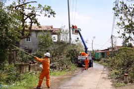 EVN và các đơn vị thành viên nỗ lực khắc phục hậu quả cơn bão số 10