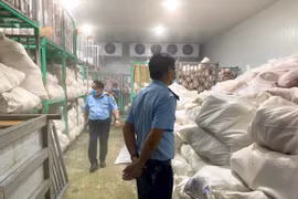Gia Lai: Xử phạt chủ cơ sở tàng trữ hơn 100 tấn heo quay bốc mùi hôi