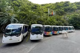 Cát Bà vận hành thử giao thông xanh, hướng tới đảo du lịch không khí thải đầu tiên ở Việt Nam