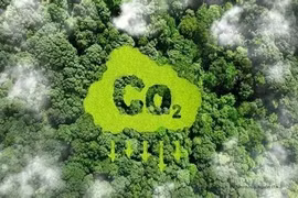 Việt Nam đang tích cực chuẩn bị để vận hành thị trường carbon