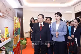 Tăng cường chuyển giao công nghệ và đào tạo nhân lực giữa Việt Nam - Nhật Bản