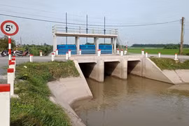 TP HCM: 2 đơn vị cạnh tranh gói thầu xây dựng các tuyến đê bao trên địa bàn huyện Hóc Môn trị giá gần 80 tỷ đồng