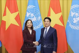 Chủ tịch nước Lương Cường tiếp Điều phối viên thường trú Liên hợp quốc tại Việt Nam