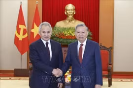 Tổng Bí thư Tô Lâm tiếp Thư ký Hội đồng An ninh Liên bang Nga