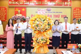 Tốc độ tăng trưởng bình quân của Vĩnh Phúc đạt 7,5%/năm