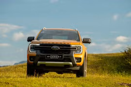Phân khúc xe gầm cao cỡ D vẫn chỉ là “đất diễn” của Ford Everest