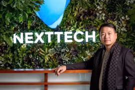 AntEx đổi tên thành Rabbit rồi lao dốc, cổ đông Nexttech rút 99,16% vốn