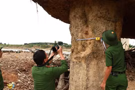 Khởi tố vụ án vụ cầu sông Lô trơ lõi thép
