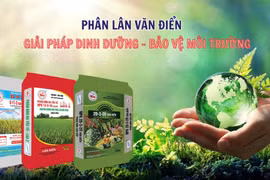 Phân lân nung chảy Văn Điển: Kiên định sản xuất xanh, bền vững vì nông nghiệp an toàn