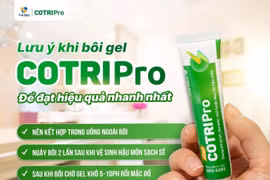 Cần quy định về thẩm quyền và hoạt động giám sát của Tổ đại biểu Hội đồng nhân dân