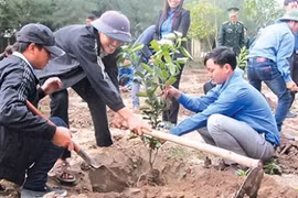 Thái Bình hưởng ứng Tết trồng cây Xuân Ất Tỵ 2025 bằng cây bản địa, có giá trị kinh tế, có cảnh quan đẹp