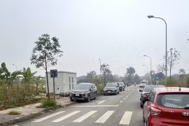 'Cò' đất 'sống lại', đất nền có xu hướng tăng 'nóng'