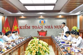 Kiểm toán Tập đoàn Điện lực Việt Nam và Tổng công ty Phát điện 2