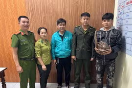 Quảng Ngãi: Bắt được cá thể tê tê Java quý hiếm, người dân tự nguyện giao nộp cho chính quyền