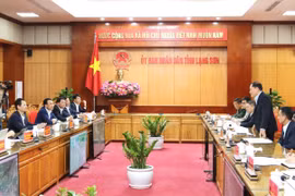 Lạng Sơn: Tích cực, chủ động phối hợp với Tổng công ty Điện lực miền Bắc triển khai dự án điện quan trọng