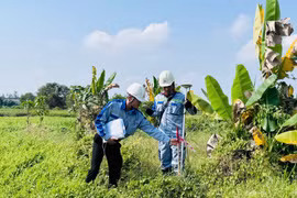 TP HCM khởi công, thông xe nhiều công trình trọng điểm trước 30/4