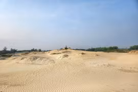 Quảng Nam tìm phương án mới để bán đấu giá cát sau nạo vét sông Cổ Cò