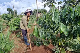 Gia Lai: Đẩy mạnh giảm nghèo đa chiều bền vững không để ai bị bỏ lại phía sau