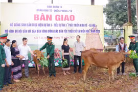 Bàn giao bò sinh sản cho các hộ vùng đồng bào dân tộc thiểu số sinh sống tại 3 xã biên giới Gia Lai
