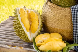 Giá sầu riêng hôm nay 24/10: Giảm nhẹ 2.000 - 5.000 đồng/kg tại nhiều vùng trồng, xuất khẩu giữ nhịp ổn định