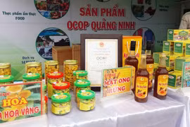 Chủ tịch UBND tỉnh phê duyệt, chứng nhận cho các sản phẩm OCOP đạt 3 sao, 4 sao