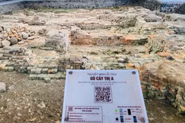 Khai quật khảo cổ khu Di sản văn hóa Óc Eo - Ba Thê
