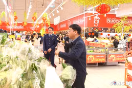 Hải Phòng bình ổn thị trường hàng hóa dịp tết Nguyên đán Ất Tỵ 2025