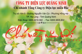 Công ty Điện lực Quảng Ninh: Luôn đảm bảo cung ứng điện an toàn trên địa bàn
