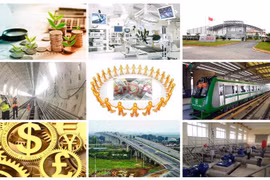 Thủ tướng Chính phủ quyết định kiện toàn hai Ban Chỉ đạo quốc gia