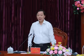 Rà soát tổng thể 'ngân hàng cán bộ', đánh giá nhu cầu để điều động, luân chuyển từ nơi thừa sang nơi thiếu