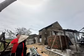 Gần 25.000 ngôi nhà tốc mái, hơn 104.000 cây xanh bị gãy đổ do bão số 5