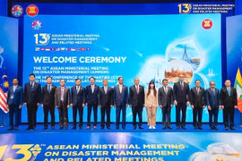 Việt Nam khẳng định cam kết đồng hành cùng ASEAN trong quản lý và ứng phó thiên tai