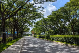 Dự báo thời tiết ngày 28/11: Thanh Hoá đến Huế ngày nắng, sáng sớm trời rét