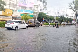 Cà Mau tập trung ứng phó với mưa lớn và triều cường